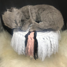 Load image into Gallery viewer, Grey kitten
