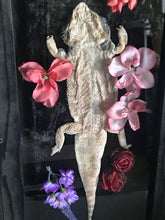 Load image into Gallery viewer, pet memorial bearded dragon
