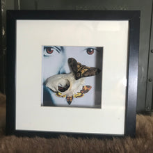 Load image into Gallery viewer, Death moth lamb skull frame
