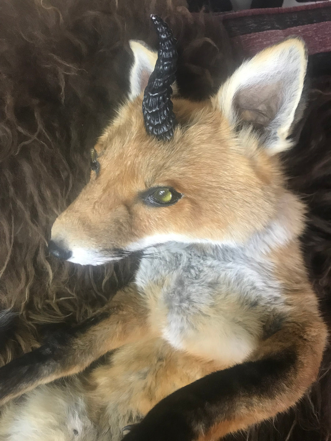 Softmount fox Ace