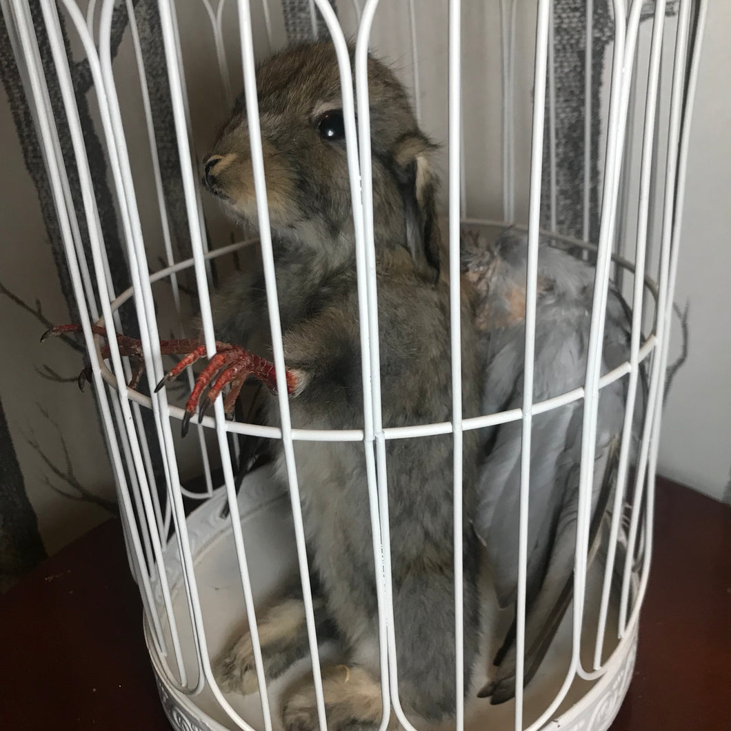 Freak in a Cage