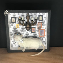 Load image into Gallery viewer, Rat Spooky Shadow Boxes
