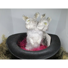 Load image into Gallery viewer, conjoined rabbit taxidermy
