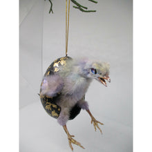 Load image into Gallery viewer, quail taxidermy
