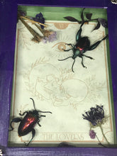 Load image into Gallery viewer, The Lovers Tarot Framed insects

