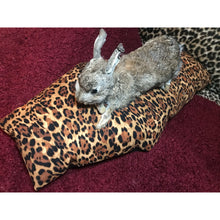 Load image into Gallery viewer, Pet cushion leopard print
