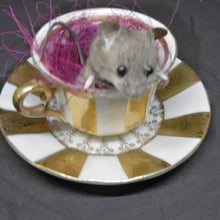 Load image into Gallery viewer, Mouse taxidermy
