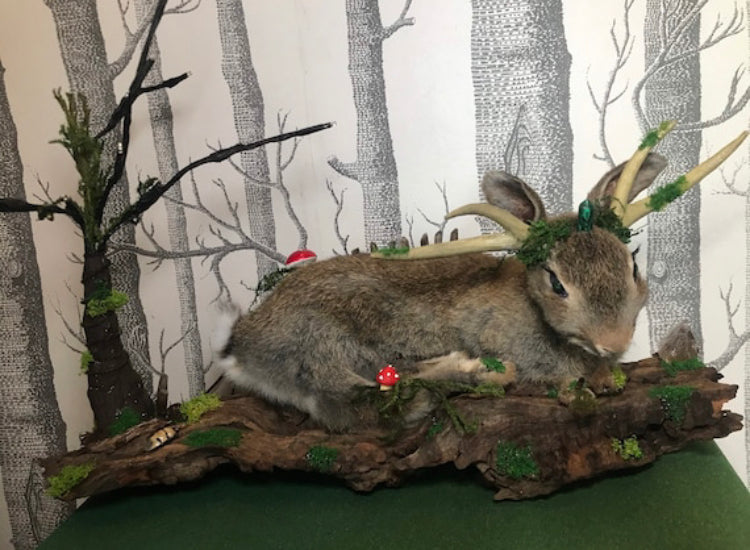 Taxidermy Rabbit, fantasy forest style
