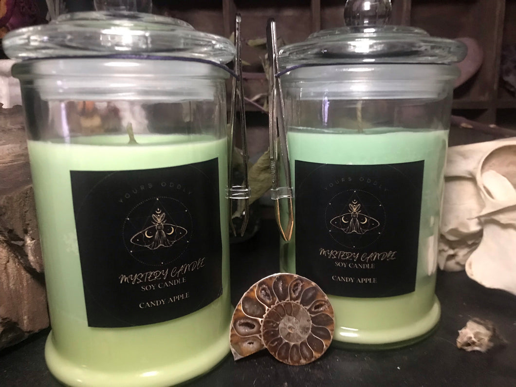 Oddities MYSTERY Soy Candles