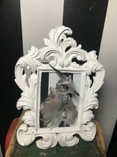 Load image into Gallery viewer, Pigeon diva taxidermy
