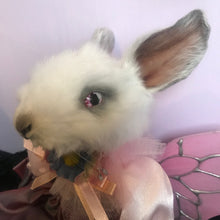 Load image into Gallery viewer, Bella Bunny doll
