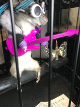 Load image into Gallery viewer, Rat in a cage taxidermy
