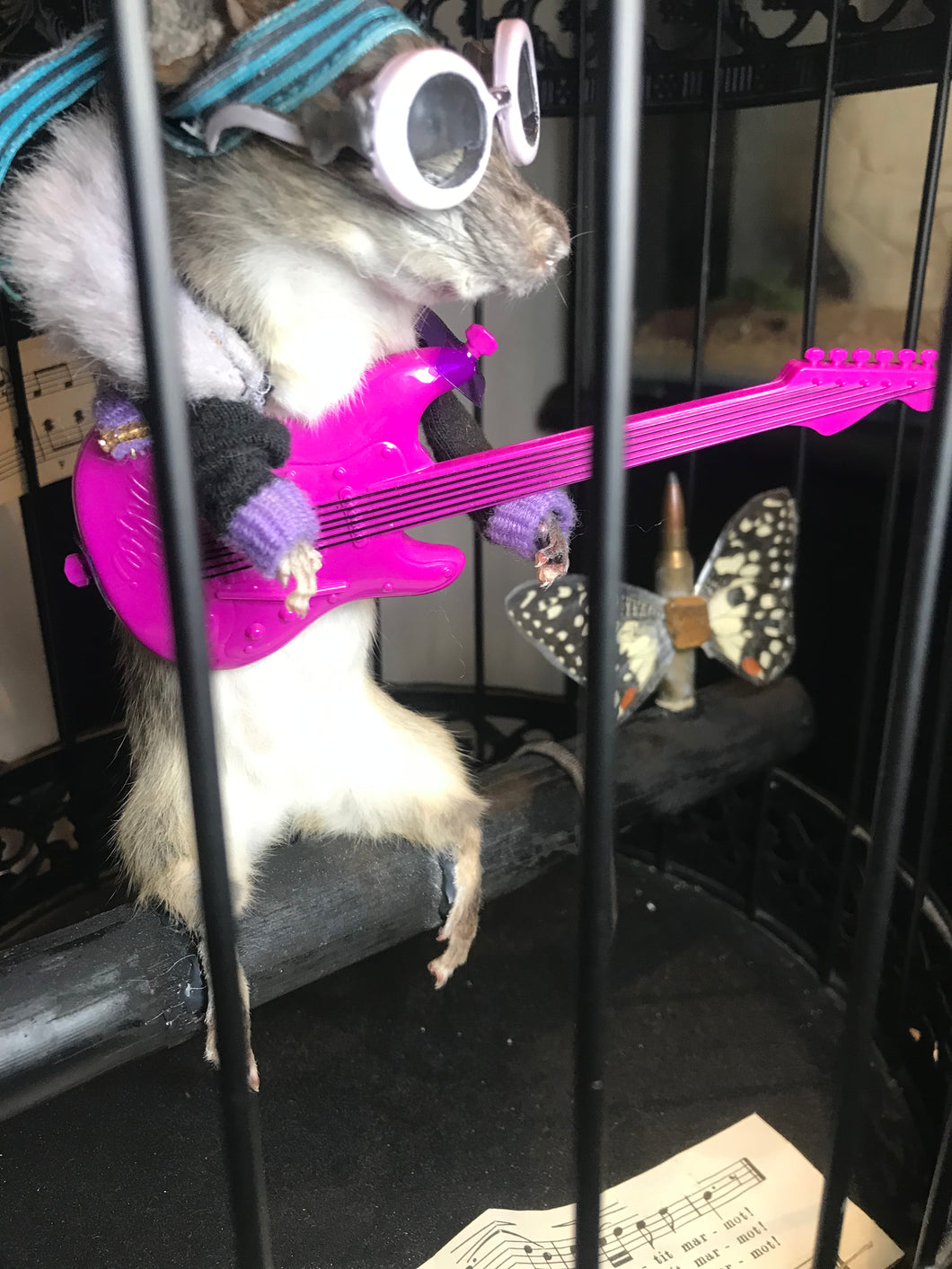 Rat in a cage taxidermy