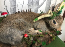 Load image into Gallery viewer, Taxidermy Rabbit, fantasy forest style
