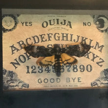 Load image into Gallery viewer, Deaths Head Hawk Moth Framed
