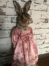 Load image into Gallery viewer, Hare taxidermy porcelain doll
