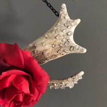 Load image into Gallery viewer, Deer antler wall decor
