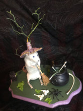 Load image into Gallery viewer, witch rat taxidermy
