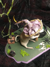 Load image into Gallery viewer, witch rat taxidermy
