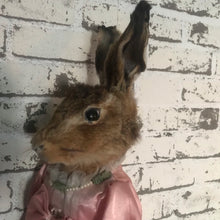Load image into Gallery viewer, Hare taxidermy porcelain doll
