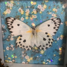 Load image into Gallery viewer, Framed butterflies
