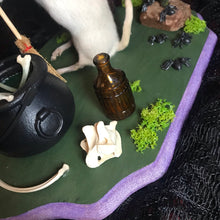 Load image into Gallery viewer, witch rat taxidermy
