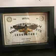 Load image into Gallery viewer, Ouija death head hawk moth

