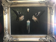 Load image into Gallery viewer, Taxidermy bird frame

