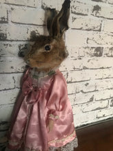 Load image into Gallery viewer, Hare taxidermy porcelain doll
