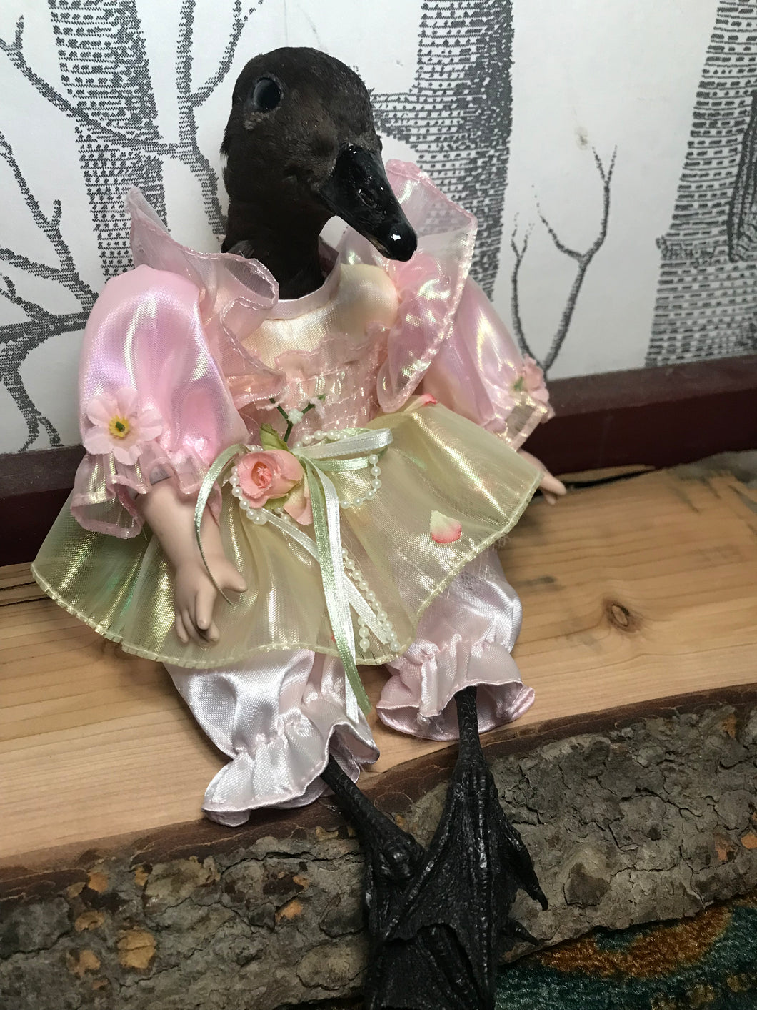 Daphne duck doll